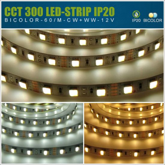 LED Streifen 12V SMD5050 60 LED/m - IP20 2in1 CCT